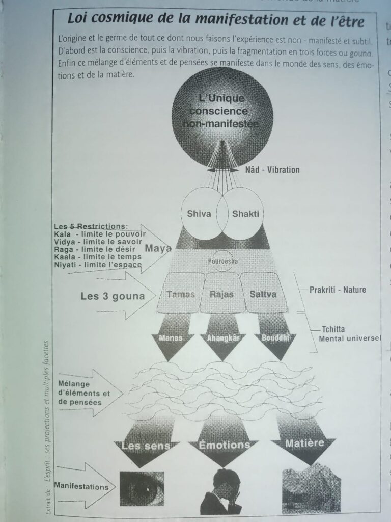 Schéma Loi cosmique de la manifestation